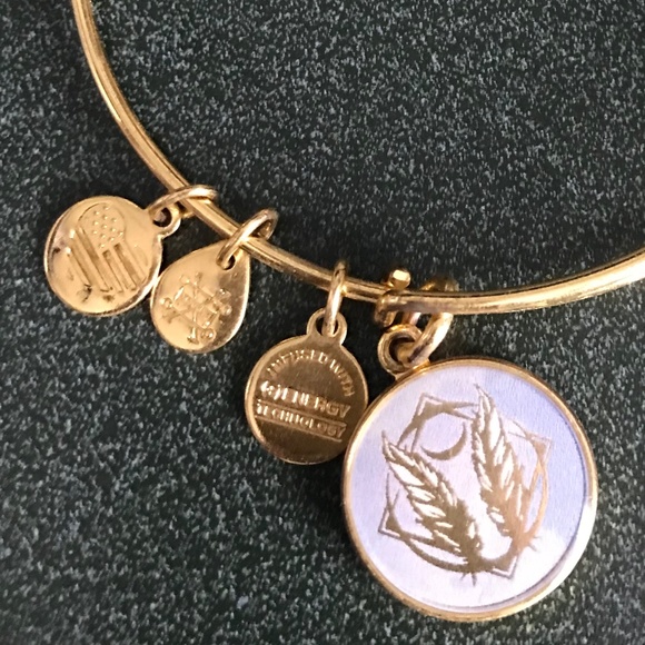 Alex and Ani Expandable Wire Bracelet - Picture 8 of 13